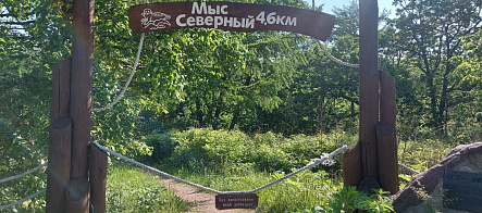 Как экологический туризм влияет на природу Сихотэ-Алинского заповедника