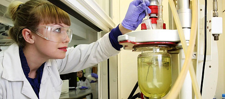 «Новые материалы и химия»: ЦОПП ТГУ поддержит аспирантов химической отрасли