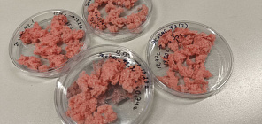 Ученые ТГУ изобрели фильтр, который ловит до 90% микропластика при стирке