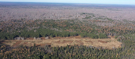 Эксперт ТГУ: как крестьяне 19 века повлияли на современный сибирский лес
